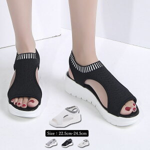 T_ fB[X  X|[cT_ RtH[gT_ ɂ X|T Xj[J[(T)