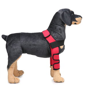 サポーター 膝 プロテクター 犬用健康管理用品の人気商品 通販 価格比較 価格 Com