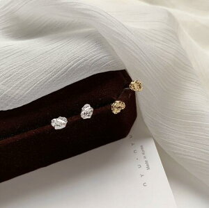 sAX ANZT[ sK  Vv Vo[ ؍ t@bV G 킢  k  [K] (T)