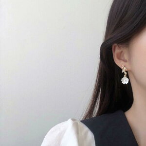 sAX CAO ANZT[  } fUC Vo[ ؍ t@bV G 킢  k  [K] (T)