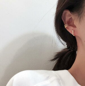 C[Jt ANZT[ p[ t Vv IV fUC ؍ t@bV G 킢  k  [K] (T)