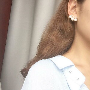 ANZT[ sAX CO p[ ؍ t@bV G 킢  k  [K] (T)