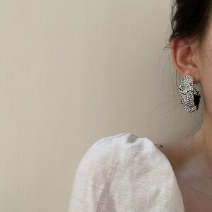 sAX ANZT[ Xg[ Vo[|Xg re[W  fB[X Ap JWA ؍ t@bV G 킢  k  [K] (T)