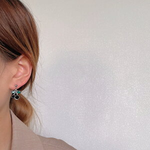 sAX ANZT[  i re[W ؍ t@bV G 킢  k  [K] (T)