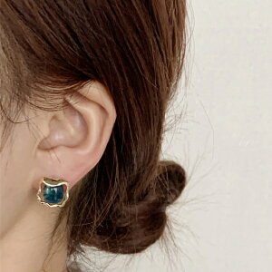 sAX ANZT[  Vo[|Xg re[W ؍ t@bV G 킢  k  [K] (T)