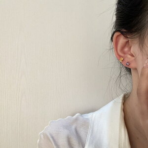 sAX ANZT[ Xg[ 5_Zbg Vo[|Xg IV ؍ t@bV G 킢  k  [K] (T)