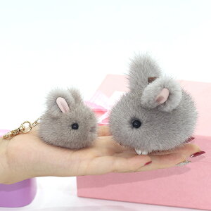 ETM̃~Nt@[ obO`[ (T)