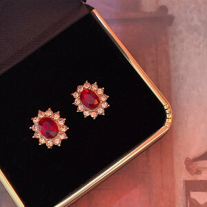 sAX CO ANZT[ Vo[|Xg re[W ؍ t@bV G 킢  k  [K] (T)