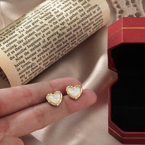 sAX CO ANZT[ n[g Vo[|Xg re[W ؍ t@bV G 킢  k  [K] (T)