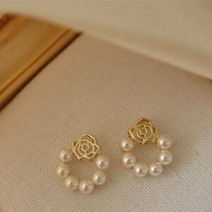 sAX CO ANZT[ Vo[|Xg p[ o re[W ؍ t@bV G 킢  k  [K] (T)