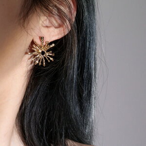 sAX ANZT[   re[W Vo[|Xg ĕ ؍ t@bV G 킢  k  [K] (T)