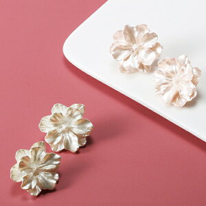 sAX ANZT[  re[W Vo[|Xg ؍ t@bV G 킢  k  [K] (T)