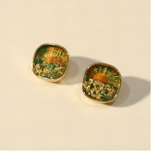 sAX CO ANZT[ re[W  Vo[|Xg ؍ t@bV G 킢  k  [K] (T)