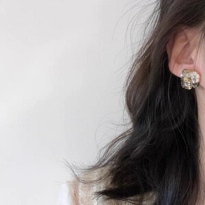 sAX ANZT[  NX^ Vo[|Xg ؍ t@bV G 킢  k  [K] (T)