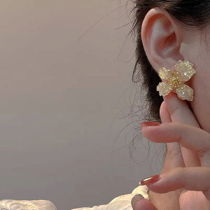 sAX ANZT[   Vo[|Xg ؍ t@bV G 킢  k  [K] (T)