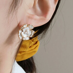 sAX ANZT[ Vo[|Xg t[  re[W ؍ t@bV G 킢  k  [K] (T)