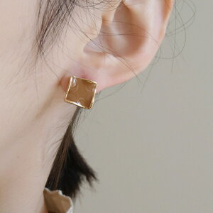 sAX ANZT[ Vo[|Xg XNGA re[W ؍ t@bV G 킢  k  [K] (T)