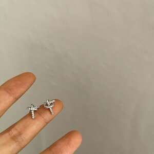 sAX ANZT[  Vo[|Xg ؍ t@bV G 킢  k  [K] (T)