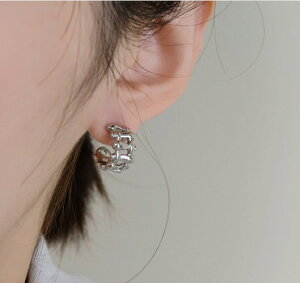 sAX ANZT[  fUC Vo[|Xg ؍ t@bV G 킢  k  [K] (T)