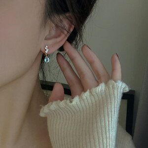 sAX CO ANZT[ LL Vo[|Xg ؍ t@bV G 킢  k  [K] (T)