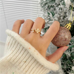 w O  ANZT[ ؍ t@bV G 킢  k  [K] (T)