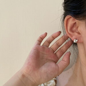 sAX ANZT[ Vo[|Xg XNGA ؍ t@bV G 킢  k  [K] (T)