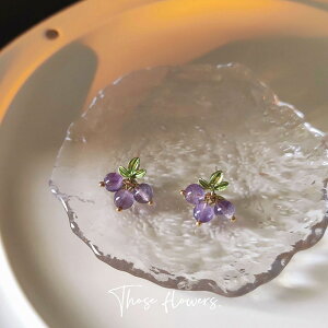 sAX ANZT[   fB[X Vo[|Xg ؍ t@bV G 킢  k  [K] (T)