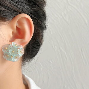 sAX ANZT[ t[ fB[X Vo[|Xg ؍ t@bV G 킢  k  [K] (T)