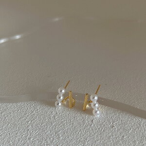 Op[sAX ANZT[ Vo[|Xg ؍ t@bV G 킢  k  [K] (T)