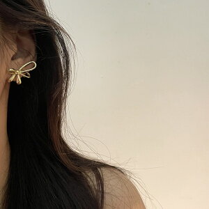 sAX ANZT[ Vo[|Xg  ؍ t@bV G 킢  k  [K] (T)