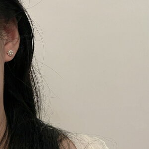 sAX ANZT[ fB[X fUC p[  Vo[|Xg ؍ t@bV G 킢  k  [K] (T)