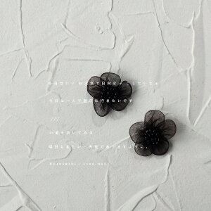 sAX ANZT[ fUC [X t[ fB[X Vo[|Xg ؍ t@bV G 킢  k  [K] (T)