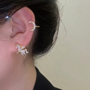 C[Jt ANZT[ fUC fB[X ؍ t@bV G 킢  k  [K] (T)