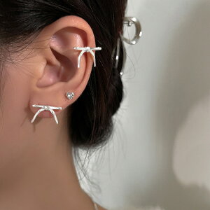 C[Jt@sAX@ANZT[@fB[X@؍t@bV@fUC@ (T)