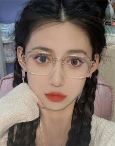 ዾ Y 傫Ȋ JWA ڂ̃t[Ȃ[K](T)