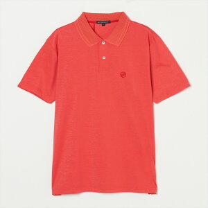 y50%OFFzRosaseniT[ZjN[xAV| St StEGA Y  |Vc