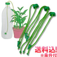 ＼楽天1位／【メール便送料無料】留守宅自動給水やり機 給水番 kyusuiban-mail(sa3a002)(1通につき4点迄)
