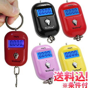 y[֑zGPT ݂艺  fW^ QbW XP[ (20g`25kgv) ~j ɏL[O^ dʌv ͂ ו s g z  d X[cP[X ֗ObY gu1a37