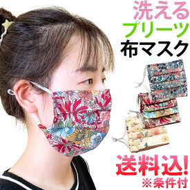 在庫限り！【メール便送料無料】GPT 布製 マスク プリーツタイプ 柄入り 大人用 個包装 綿 かわいい おしゃれ プリーツマスク 布 ノーズワイヤー・耳紐調節アジャスター付き 布マスク gu1a705-mail(gu1a708)(1通につき15点)