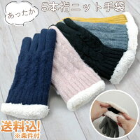 手袋 GPT 5本指 レディース 【 裏地 起毛 二重 タイプ 】 防寒 秋冬 冬 ニット あったか 可愛い 大人用 カラフル sorae ソラエ ラメ入り gu1a813-mail (1通につき1点迄)(gu1a854)