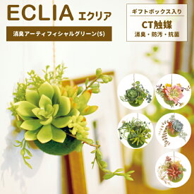 楽天市場 ダクトレール 観葉植物の通販