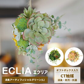 楽天市場 ダクトレール フック 花 ガーデン Diy の通販