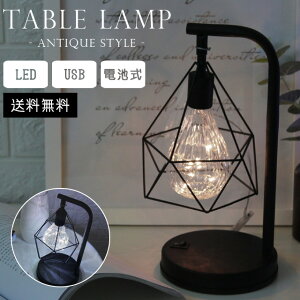 yzGPT e[uCg e[uv  R[hX AeB[N v LED Ɩ dr USB d C[VF[h X^h Cg Ɩ ドCg k ԐڏƖ _