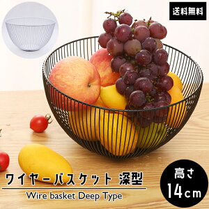 yzGPT C[oXPbg [^ ˏ ی^ ubN zCg X`[  C[{E   [ {bNX fBXvC  G t[coXPbg ȉ~` 