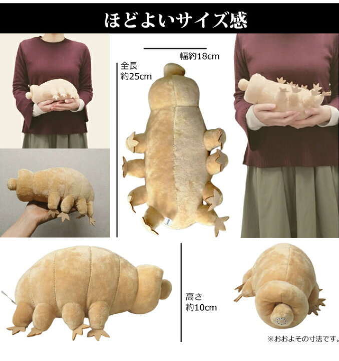 楽天市場 送料無料 地上最強 生物 Gpt クマムシ ぬいぐるみ ベージュ インテリア かわいい ユニーク 生き物 長命虫 動物 アニマル ふわふわ びっくり 教材 理科 かっこいい シュール Gu1b051 スーツケース旅行用品のグリプトン