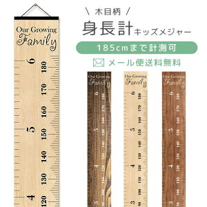 _yV1ʁ^y[֑zGPT q gv Ǌ| LbYW[ L^ Vv i` ؖڒ ؖڕ Ebh  킢 q g 185cm Ǐ ^yXg