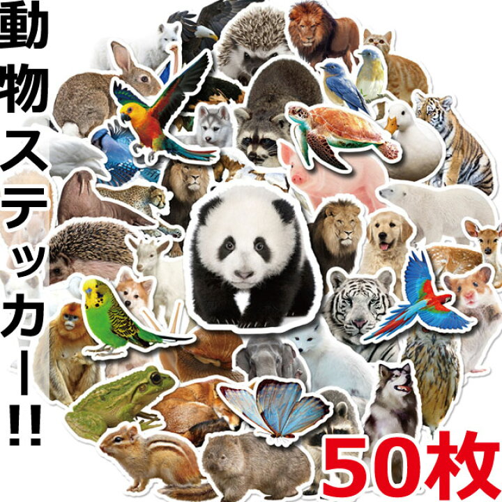 楽天市場】GPT 動物 生き物 ステッカー 50枚 セット シール 目印 