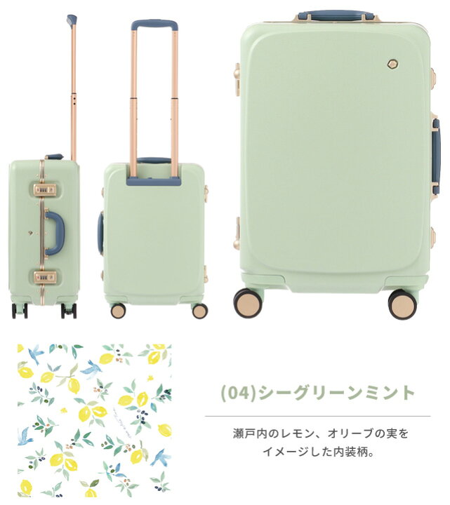 楽天市場】スーツケース キャリーケース キャリーバッグ Sサイズ 機内 