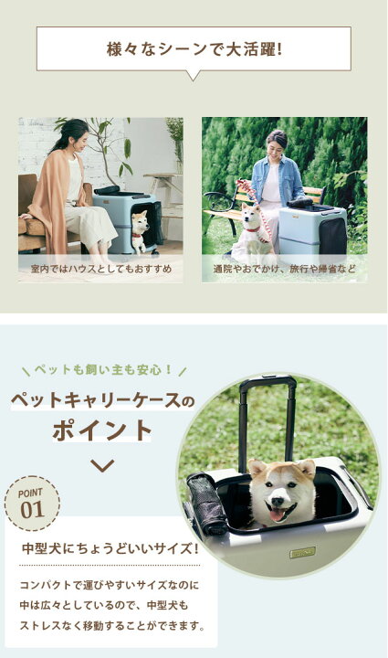 楽天市場】ペットキャリー クッション セット Mサイズ ペットキャリー 