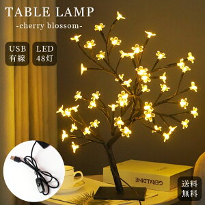 e[uv ԐڏƖ  e[uCg   iCgCg xbhTCh v ̖ 48 USBd L CeA Q rO GPT yz (gu1c357)